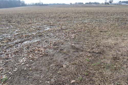 Property photo 45 - 98+/- Acres Offered in 6 Tracts or Combinations, Noble County, Indiana Farm